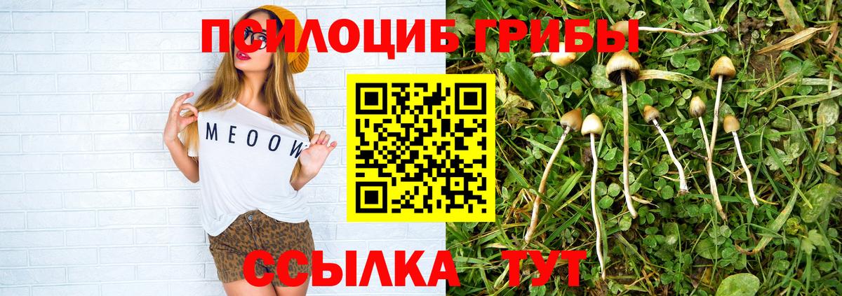 Галлюциногенные грибы Psilocybe  Вход с VPN  Апатиты  Псилоцибиновые грибы Psilocybe 