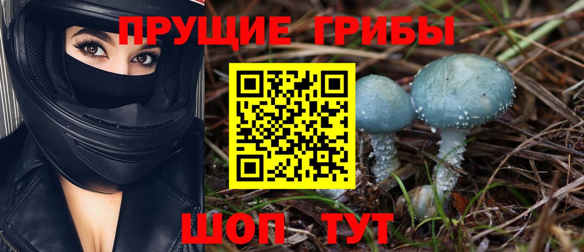 Галлюциногенные грибы MAGIC MUSHROOMS Апатиты